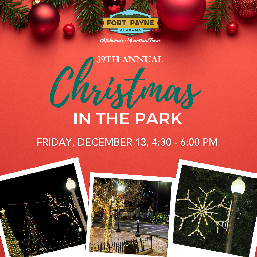 Christmas in the Park