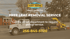 Free Leaf Removal