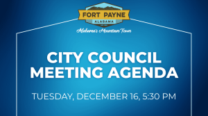 City Council Meeting